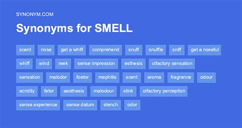 odor synonym|antonym for odor.